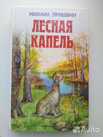 Лесная капель картинки