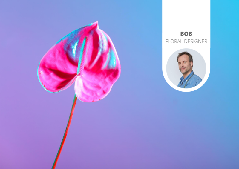 The newest floral trend: holographic Anthuriums
