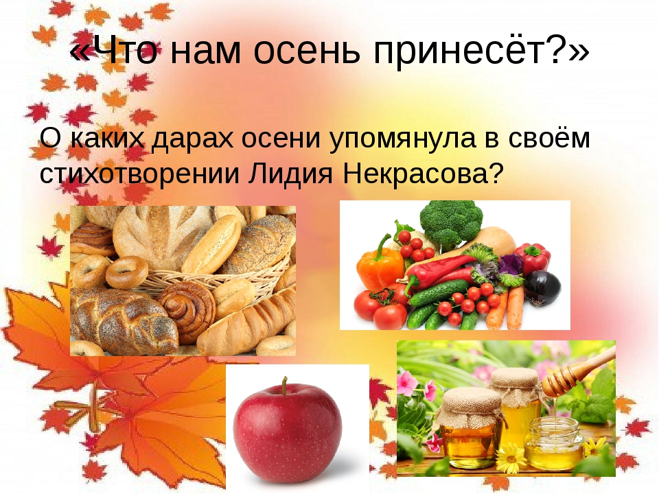 Урожай какое число. Презентация дары осени. Дары природы сообщение. Проблемный вопрос про дары осени для младшей. Информация о дары осени.