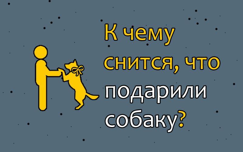 Что значит собака во сне. К чему сниться что дарят собаку. К чему снится что подарили собаку. Приснилась собака к чему. Сонник к чему снится щенок.