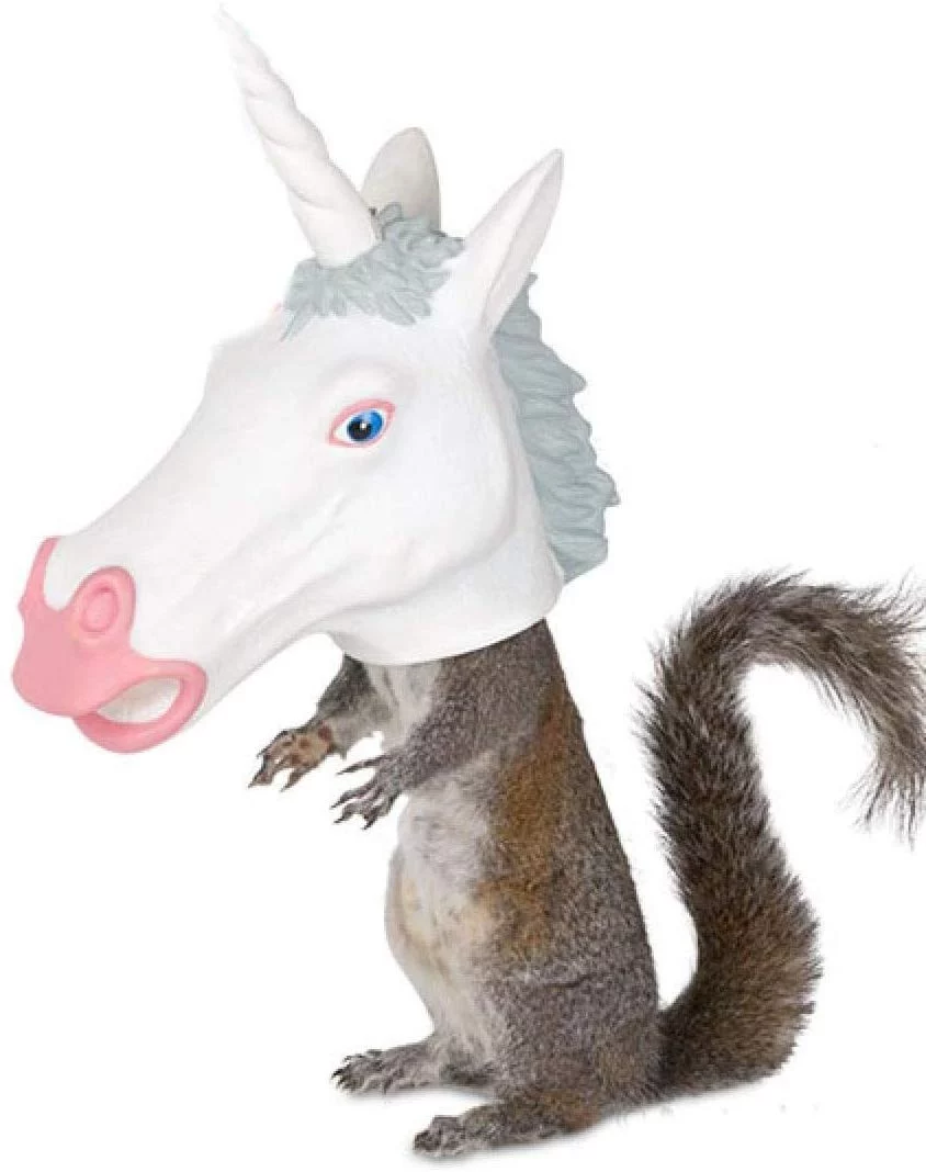 Funny Gag Gifts 2020: Squirrel Unicorn Feeder 2020