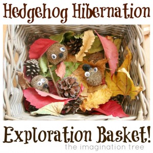 Hedgehog+Hibernation+Exploration+Basket
