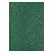 Ежедневник датированный DALLAS, зеленый