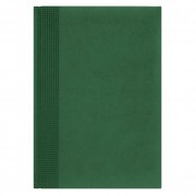 Ежедневник датированный VELVET А5, зеленый