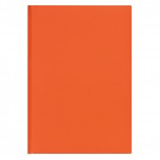 Ежедневник недатированный NEON, оранжевый