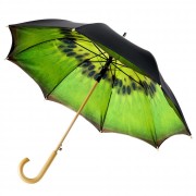Зонт-трость КИВИ
